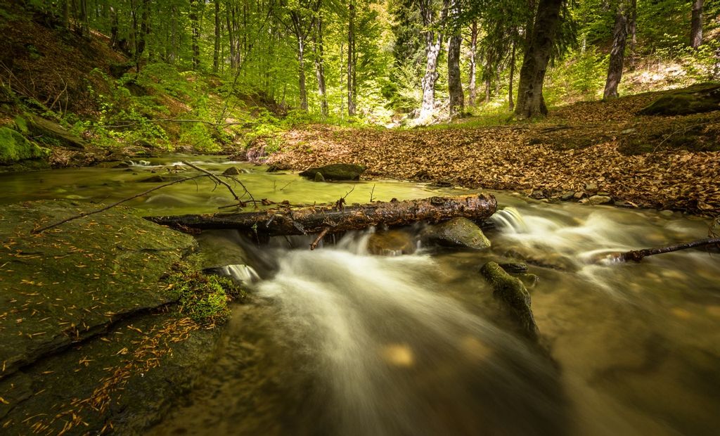 А. Вивальди - Времена года. Осень Сентябрь слушать Классическую музыку на ночь детям
