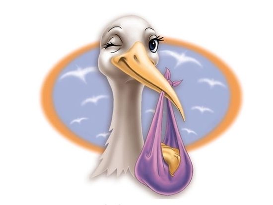 Стих Аистёнок читать для детей онлайн из коллекции про животных и птиц