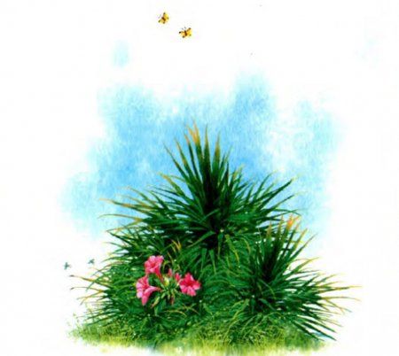 Зеленый куст с цветами