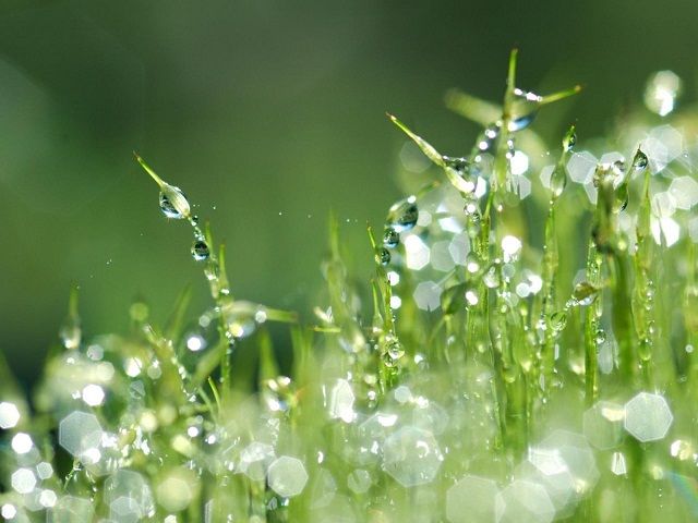 Бриллианты росы слушать музыку на ночь детям