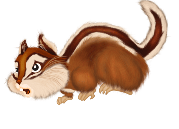 Стих Бурундук читать для детей онлайн из коллекции про животных