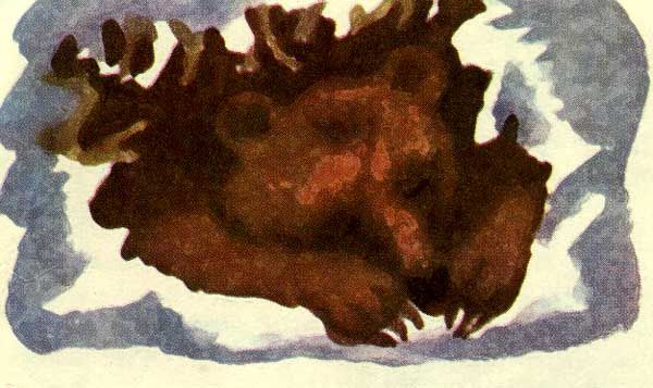 Под корнями упавшего дерева - медвежья берлога