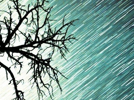 Дождь и песнь ветра слушать Звуки природы на ночь детям