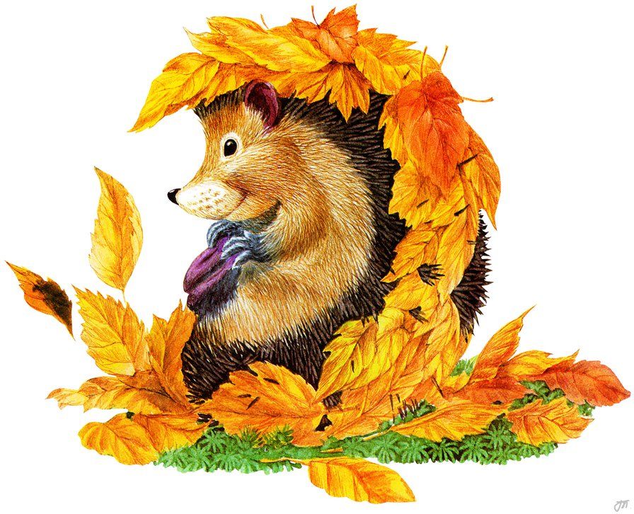 Стих Ёжик под кустом И. Могилевской из коллекции про времена года осень