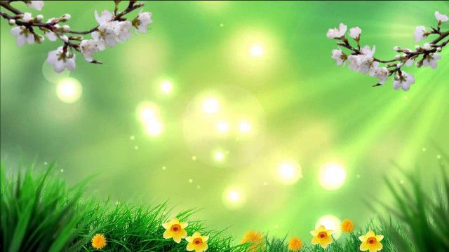 Стих К нам пришла весна Екатерины Каргановой из коллекции про времена года весна