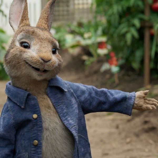 Стих Кролик читать для детей онлайн из коллекции про животных