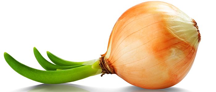 Стих Купите лук Сергея Михалкова из коллекции детских классиков