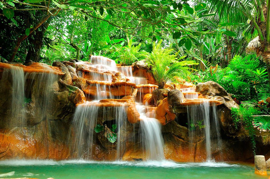 Лес Коста-Рики слушать Звуки природы на ночь детям