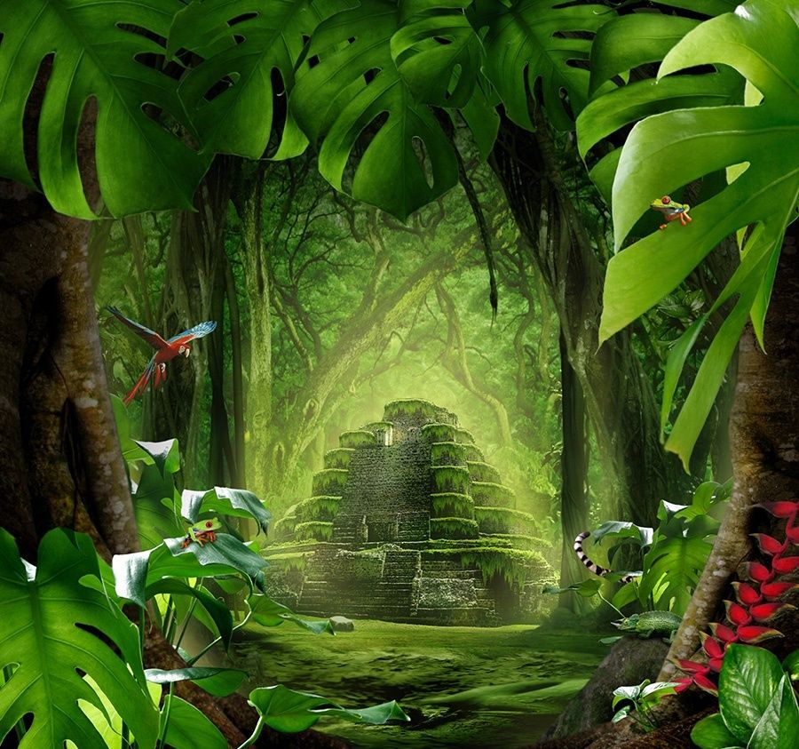 Лес в Папуа слушать Звуки природы на ночь детям