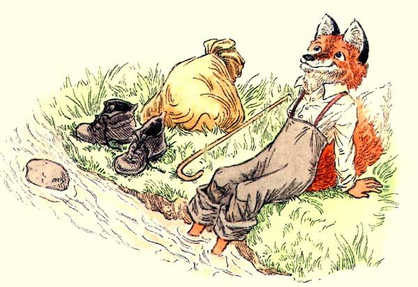 Лис сидит на берегу