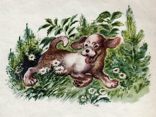 Надоело щенку гонять кур по двору