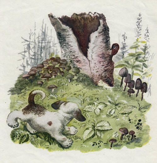 сидит на ветке маленькая птица вертишейка