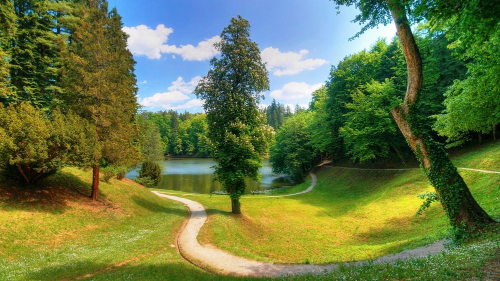 По лесной тропинке к озеру слушать Звуки природы на ночь детям