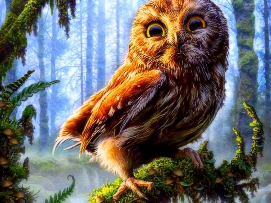 Стих Совы читать для детей онлайн из коллекции про животных и птиц