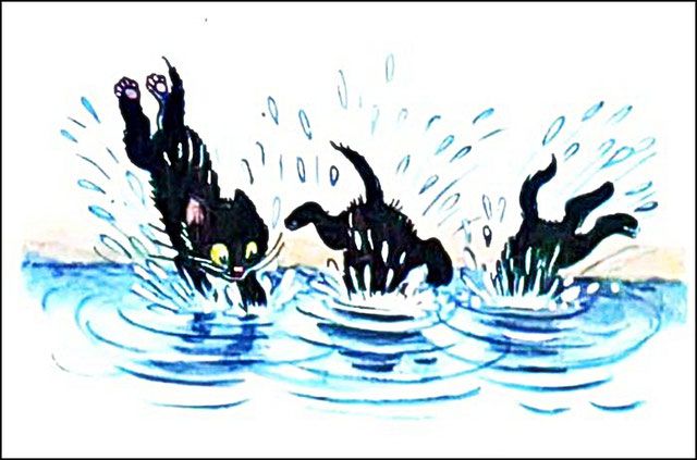 Котята бросились за ней