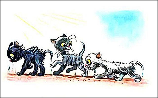 Три мокрых котёнка пошли домой