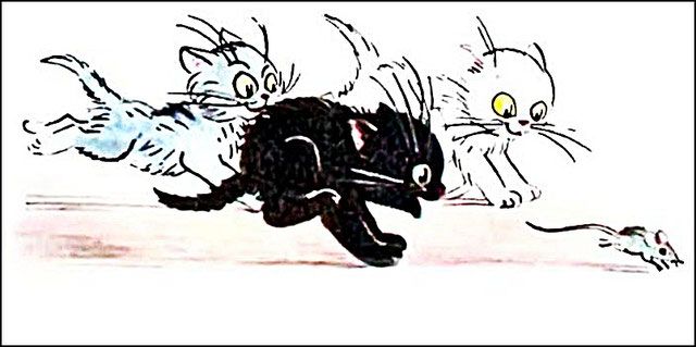 Котята бросились за ней