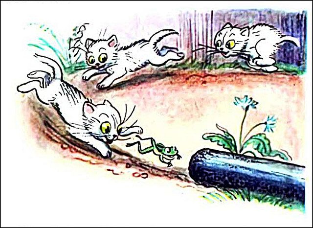 Лягушка прыгнула в старую самоварную трубу