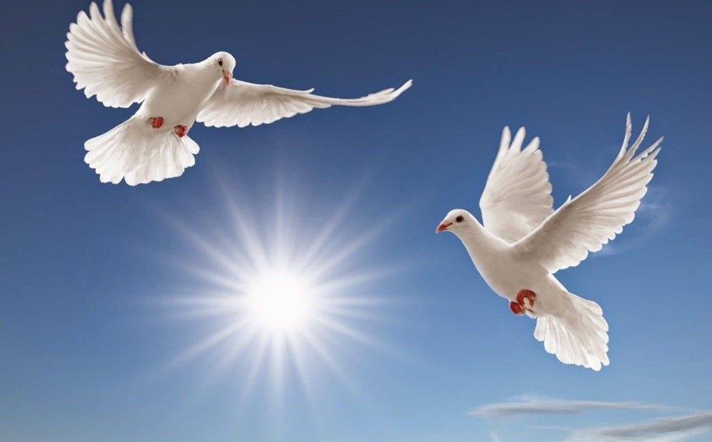 В ясной лазури голубка летит слушать колыбельную музыку