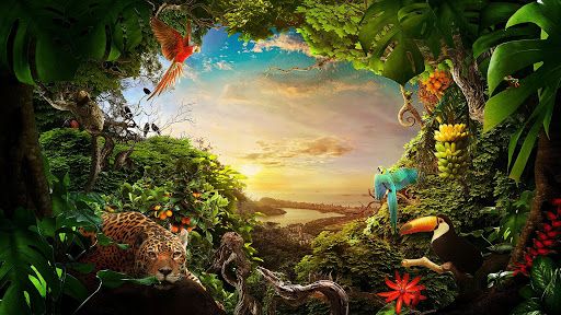 Звуки джунглей слушать Звуки природы на ночь детям